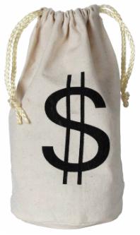 Fabric Drawstring Money Bag, 8.5 x 6.5 Inches