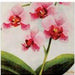 Orchid 3-Ply Luncheon Napkins, 20 Count