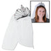 Bride to Be Tiara with Veil