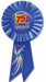 75 & Splendid 75th Birthday Rosette