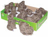 4-Inch Brown Furry Rat Decorations, 12 Count