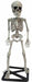 21-Inch Standing Skeleton Halloween Decoration