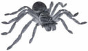 Gray Spider