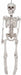 36-Inch Realistic Plastic Skeleton Halloween Prop