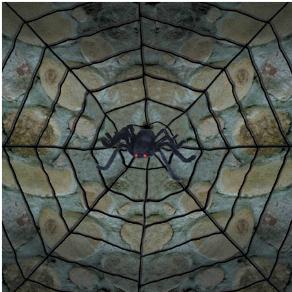 Rope Spider Web with Posable Spider Halloween Decoration