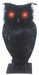LIGHT UP BLACK OWL 10"X6"X4"