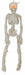 Light-Up Mummy Skeleton Halloween Prop