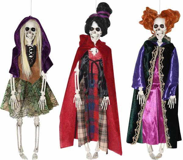 16-Inch Skeleton Witch Halloween Decoration, Assorted