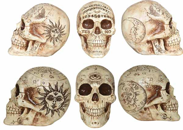 7-Inch Fortune Telling Skull Halloween Decoration