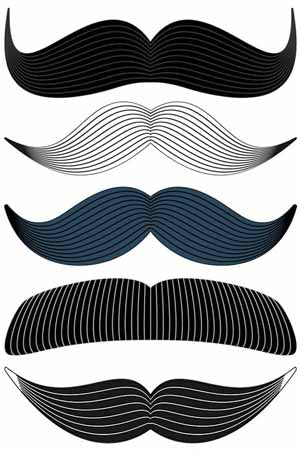 Stachetats Regular Pinstripe Stache
