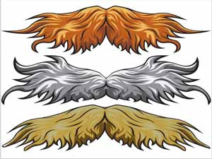 Stachetats Junior Einstein Stache Temporary Tattoo