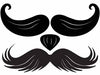 Stachetats Junior Bruno Stache