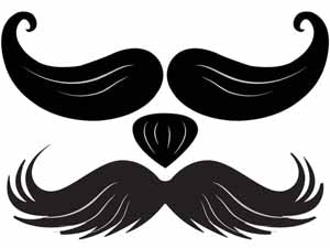Stachetats Junior Bruno Stache