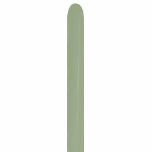 Sempertex Eucalyptus #027 260 Twisting Balloons, 50 Count
