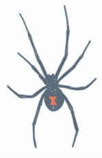 Tinsley Transfers Black Widow Prison Temporary Tattoo
