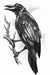 The Raven Goth Temporary Tattoo
