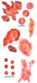 Tinsley Transfers Burned Alive Trauma Temporary Tattoo
