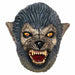 Tinsley Transfers Werewolf Latex Mask