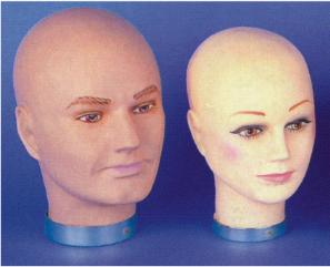 Deluxe Male Mannequin Head
