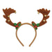 Reindeer Antlers